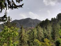 172 Blick auf den Höhenzug unseres Trails