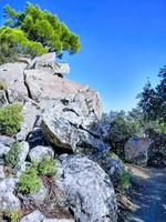 178 Basaltfelsen am Madari