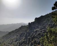 181 Die Basaltmauer am Madari