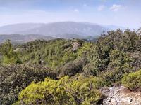 195 Blick zum Olympos