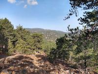 214 Blick zum Gipfel des Olympos