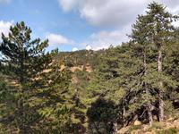 216 Englische Radarstationen auf dem Olympus-Massiv