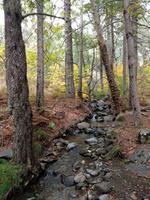 223 Wanderweg am Wildbach Kryos Patamos