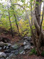 224 Wanderweg am Wildbach Kryos Patamos