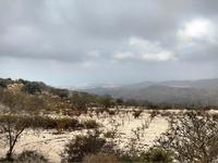 238 Wanderung 4, zur Avagas Schlucht