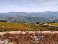 265 Kulturlandschaft oberhalb von Pano Panagia