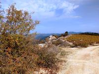 270 Der Höhenweg zum Kloster Chrysorrogiatissas