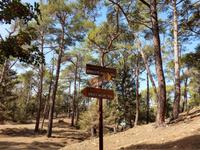 293 Kreuzung Adonis- und Aphrodite-Weg