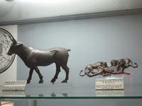 Archäologisches Museum in Nikosia