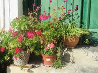 In den Gassen von Arsos