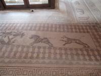 Haus des Dionysos - Mosaik