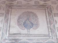 Haus des Dionysos - Mosaik