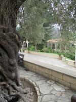 Kloster des Heiligen Neophytos