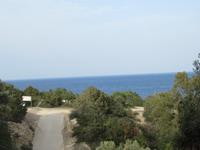 Botanischer Garten am Bad der Aphrodite