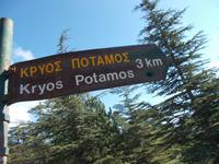 DSCN2199 zum Widbach Weg