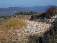 DSCN2226  Jäger auf Kaninchenjagd