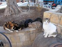 DSCN2259  bin ich schön ?