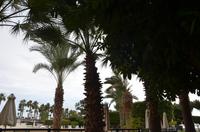 Anlage Elias Beach Hotel