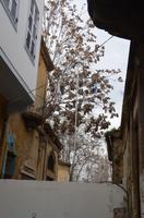 Grenze durch Nikosia