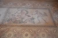 Mosaik der Daphne, Haus des Dionysos