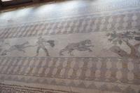 Mosaik von der Jagd aus Mufflons, Haus des Dionysos