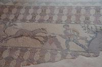 Mosaik von der Jagd aus Mufflons, Haus des Dionysos