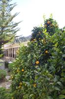 Kloster St. Neophytos