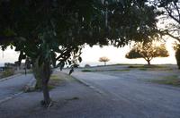 Anlage des Tempels der Aphrodite