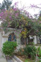 Kloster Agios Georgius