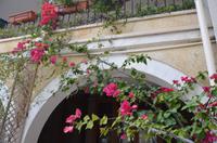 Kloster Agios Georgius