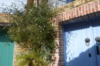 Spaziergang durch Omodos