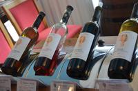 Weinverkostung in der Winzerei Lambouri