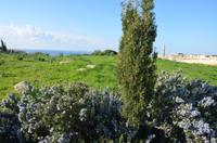 Antike Stadt Kourion