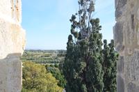 Blick von der Kolossi-Burg