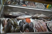 Fischrestaurant in Limassol