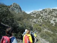 DSCN2441 da müssen wir rauf