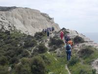 DSCN2530 Kalksteinpfad am Meer