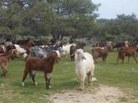 DSCN2553  wer kommt denn da ?