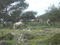 DSCN2555  hier gibt es auch