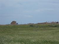 DSCN2585  Mosaike in Pafos