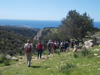 DSCN2628 Blick zur Avagas Schlucht