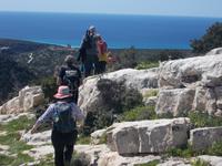 DSCN2632 oberhalb der Schlucht