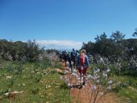 DSCN2647 den Aphrodite Trail hinab