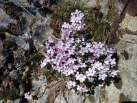 Wanderreise Zypern März, 2019