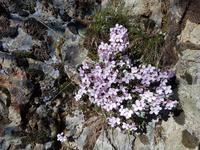 Wanderreise Zypern März, 2019