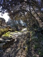 Wanderreise Zypern März, 2019