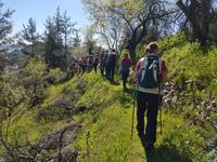 Wanderreise Zypern März, 2019