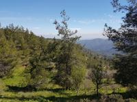 Wanderreise Zypern März, 2019