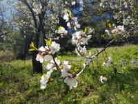 Wanderreise Zypern März, 2019