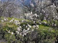 Wanderreise Zypern März, 2019